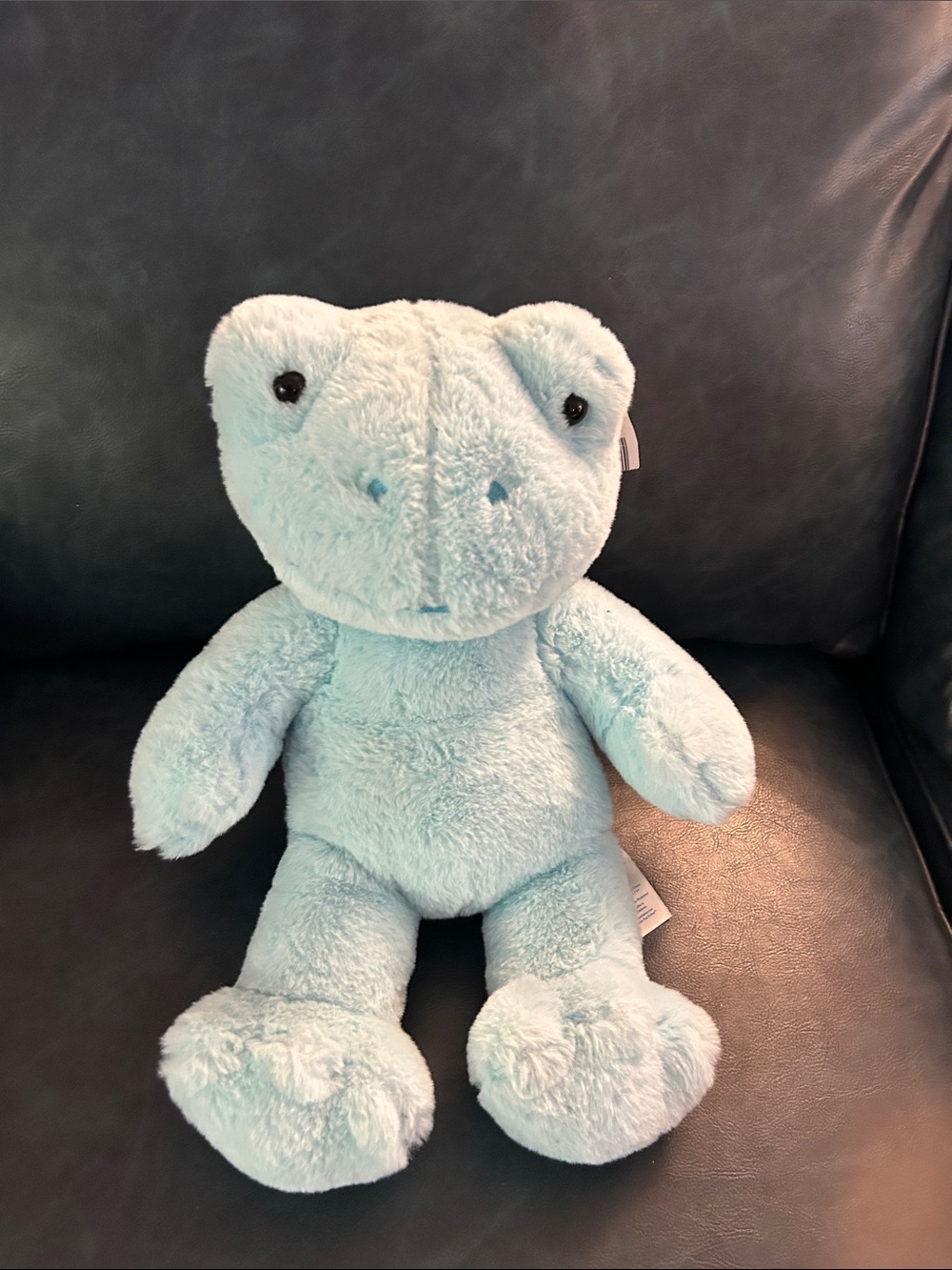 Build-A-Bear Frog Lot - Picture 7 of 16